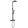 Robinet de bain/douche fini noir