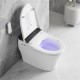 Vasio, One-piece smart toilet