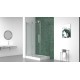 Apollon- shower door 48"