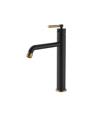 Black and Gold Lavatory Faucet