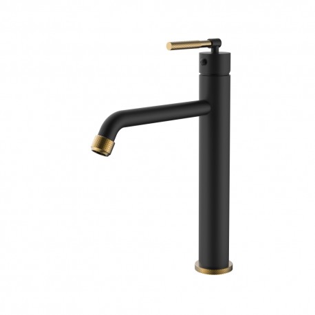 Black and Gold Lavatory Faucet