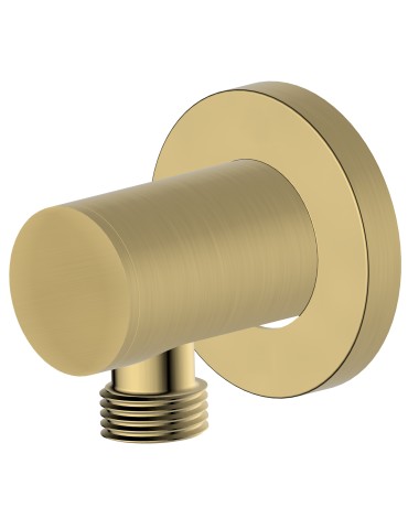 Adjustable shower hose elbow with matte gold finish
