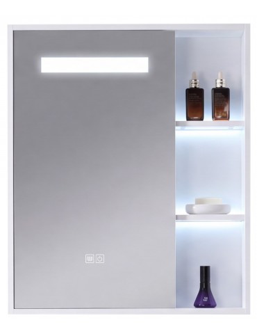 VISTA 24 in. LED medicine cabinet with storage and anti-fog